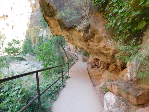 99F12C3359BB12D8012ADD