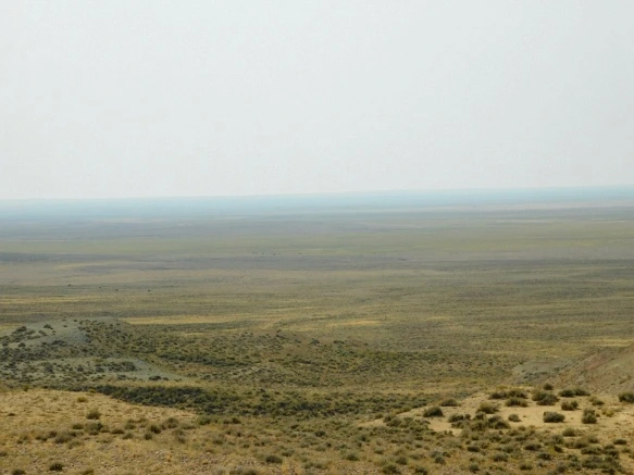 995C133359B1EAB5110A37