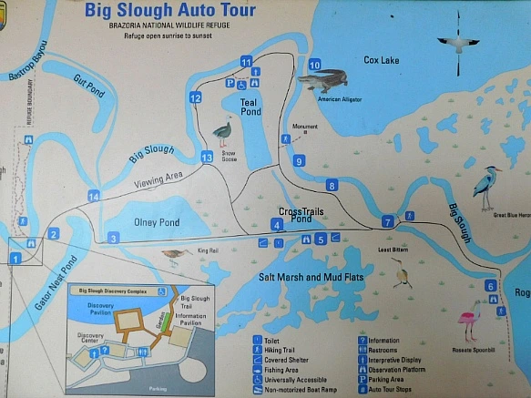 99A7463A5BF9F9D7052C2A