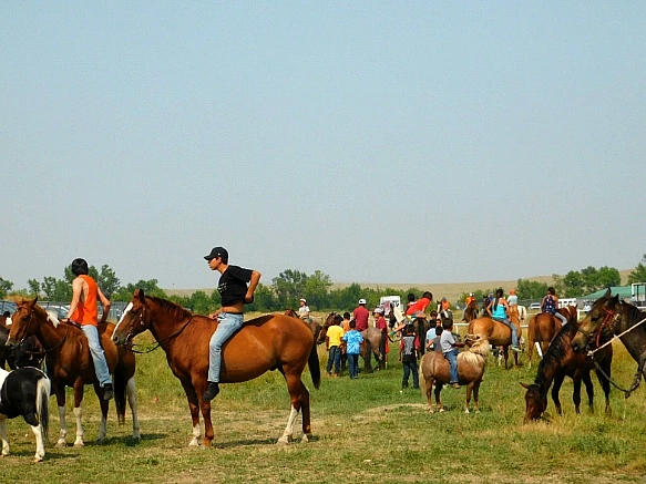 9951364F5B7D9B9F087926