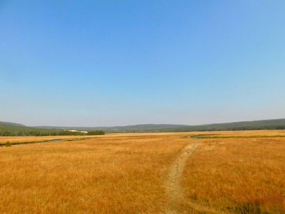 999CFE3359ADFAEB0169A9