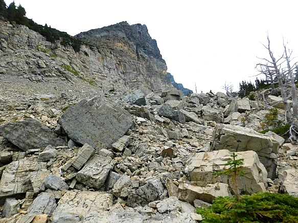 999773365B949D890FE6CB