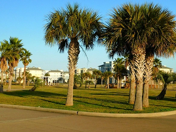 99D4153F5BF9FC400570D8