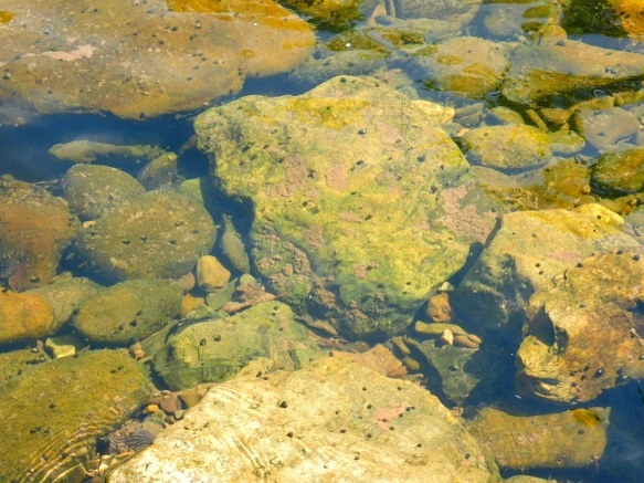 251FE843594C770F2C4719