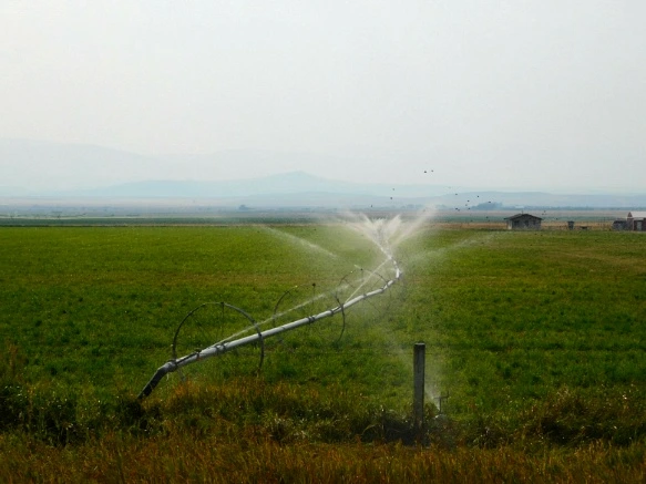 9974F733599E4F5F07AC13