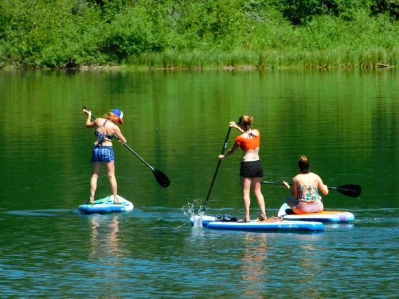 99361D465B39A571332D67