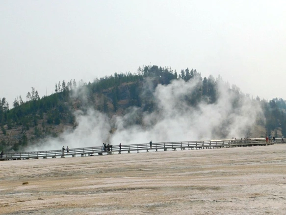 99E9653359AF0E0726F1CB