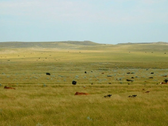 991E13425B77A1C10BDE19