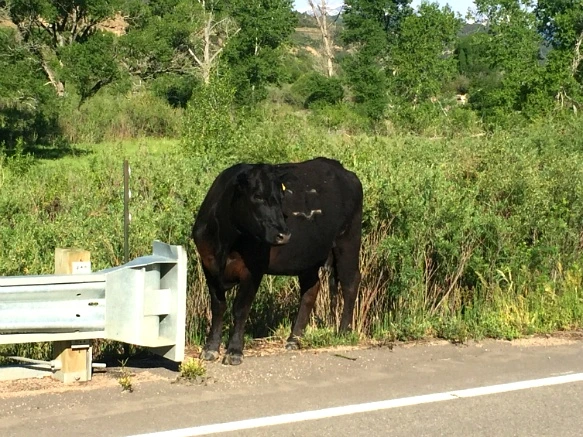 2509C93F575E325E108DA6