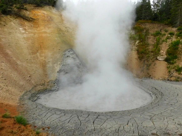 997D2D4B5B39A83508FB6E