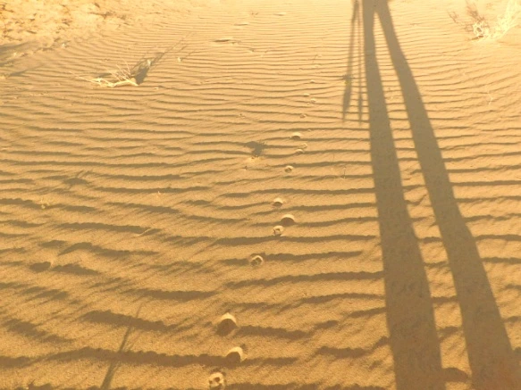 2639D533577B02B732DFFE