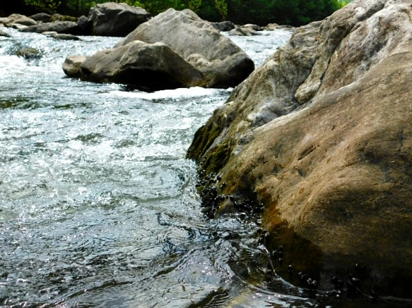 2444933D594C77163DAAC7