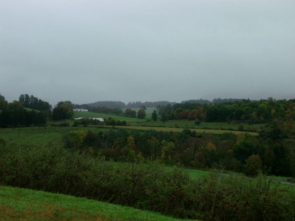 1149744A4E7FE34A08DF84