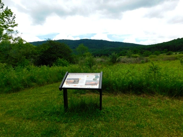 246C3C46594C91B720D563