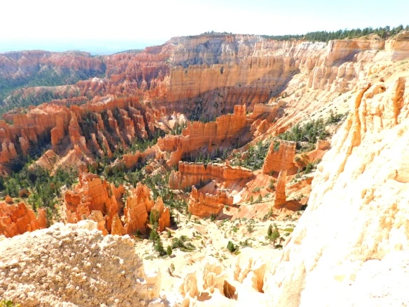 23292D355769D76E17F804