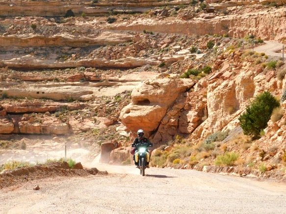 991E903359BDC22B1E416D