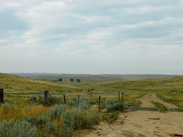 998CF53C5B77A3DE1629DA