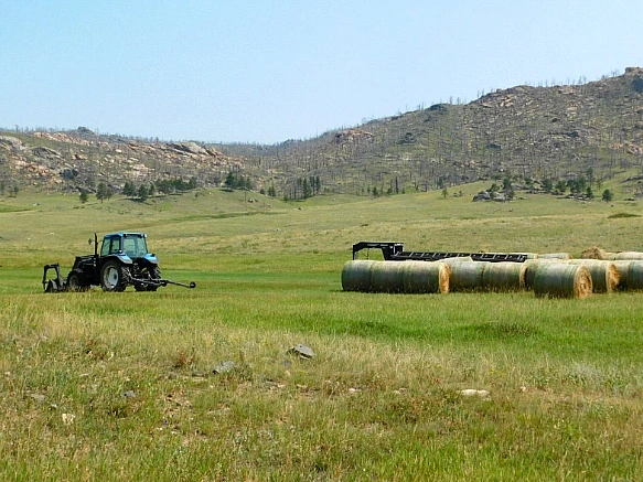 998AA2455B765408108DCA