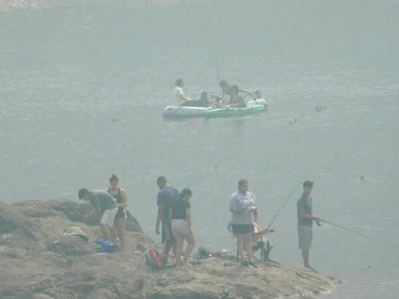 99F29A3359A62C8628EFC2