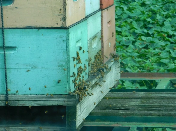 99FD2B395B5FC3B12046DF