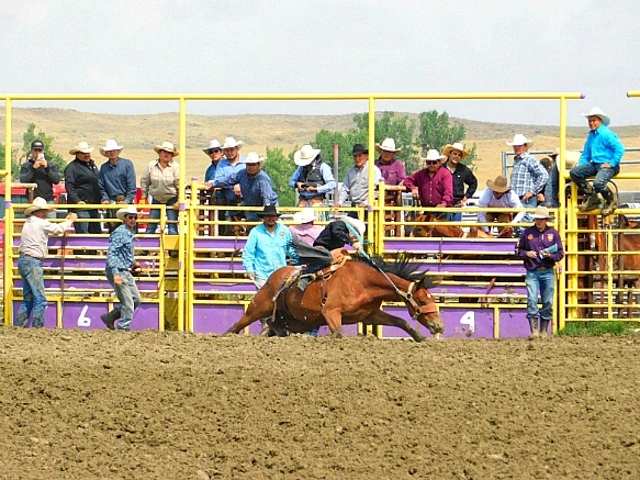 99620C395B7F817D292459