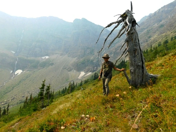 99CABB4D5B87537402A512