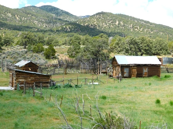 250C104259334DBF170515