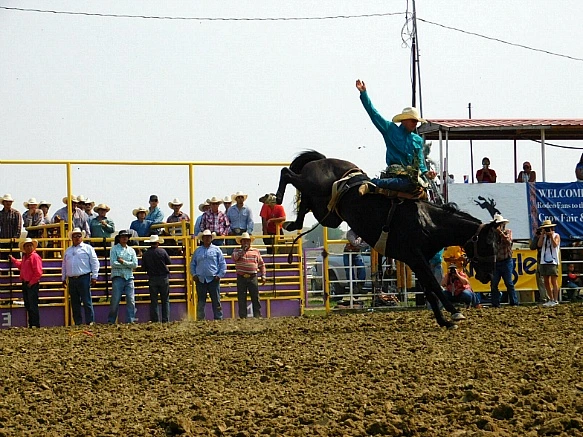 99C6B4355B7D95940BDDF6