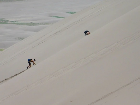 994CF54D5B6923920EC336