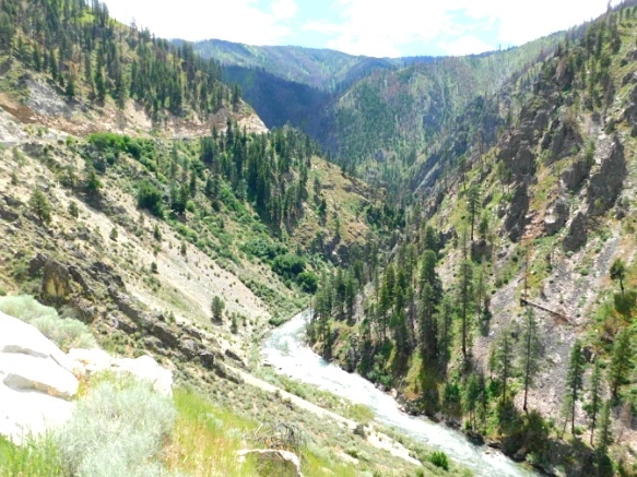 991C993C5B2F25152720C9