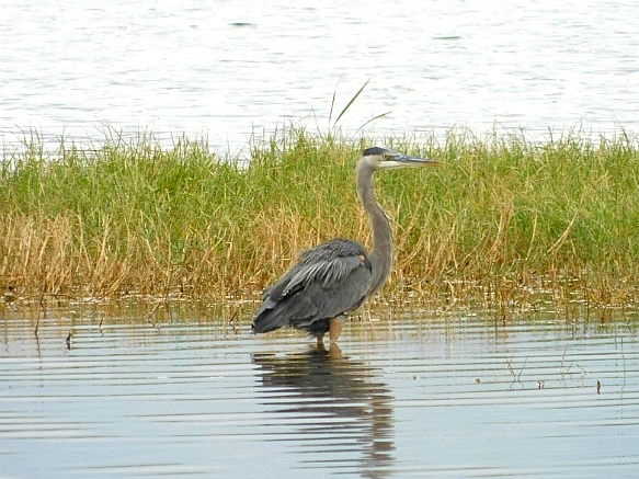 99D5503A5BF9F9DE040EC4