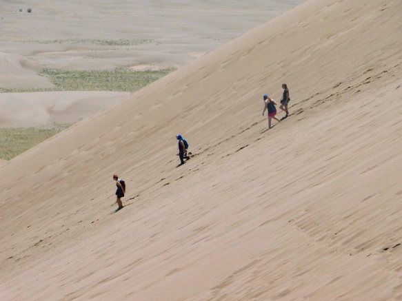 99C7E94F5B69232236DFE8