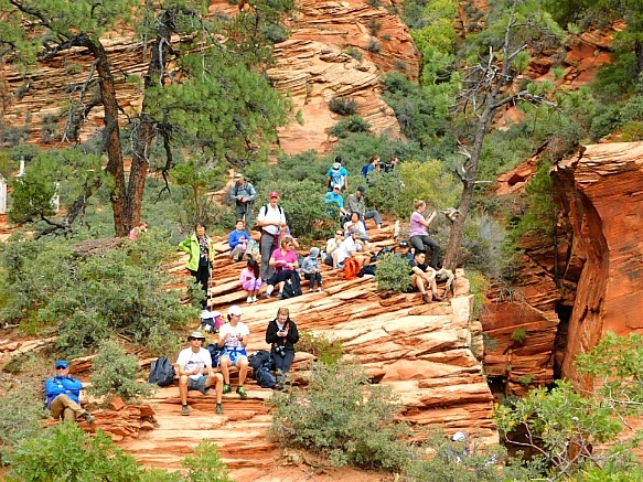 991DEE465BC698861EC88B