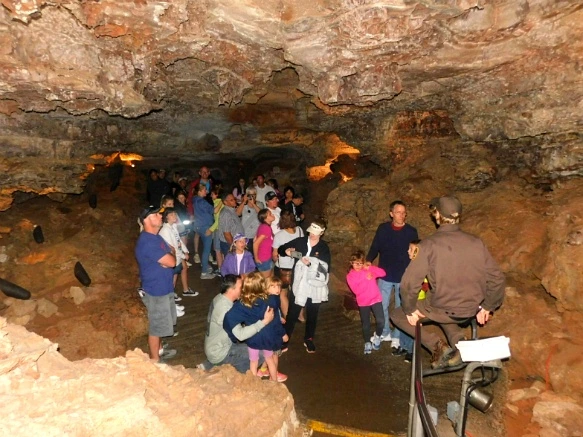 9917E34F5B442E371CC61F