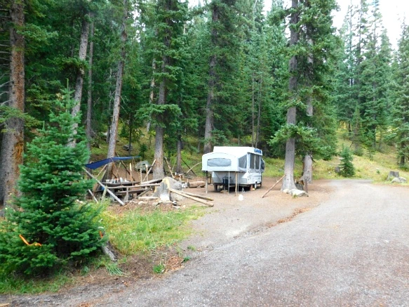 998A443359BF48A9448B5C