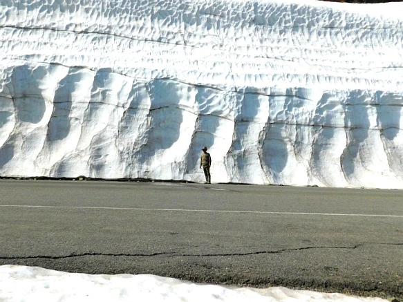 99EFF74A5B35775A10DB6E