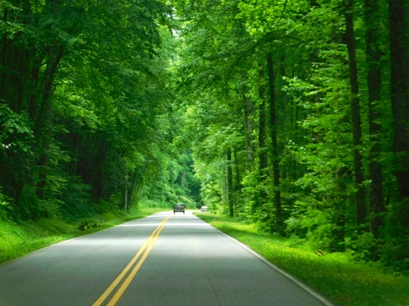 2579B04E595096DE147CCB