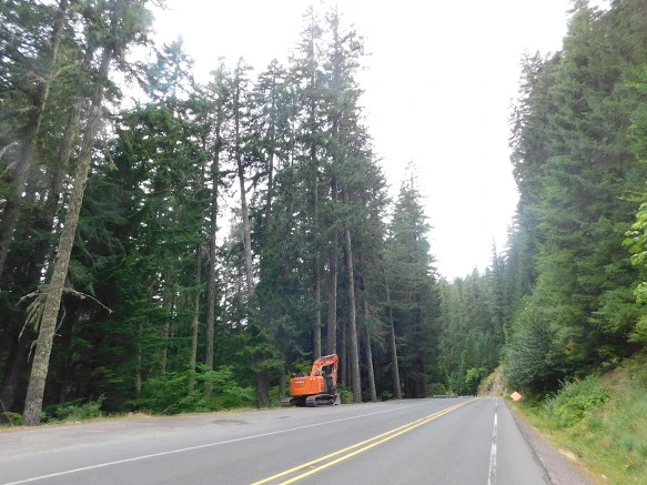 99F4563359A4AAA53090F9