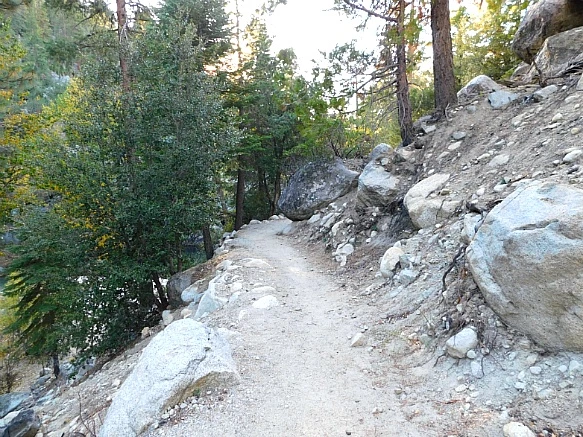 99489A4A5BDBD990166EB9