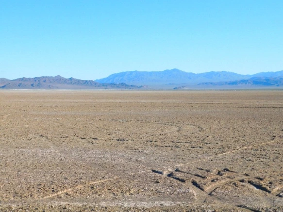 2569203D57702E23372133