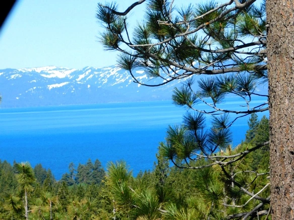 222853355932062B025497