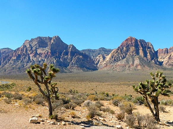 9947A33D5BCD1AFD298C8B