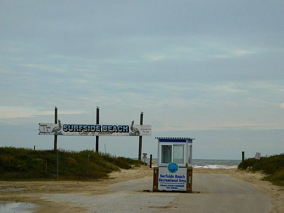 9995C63A5BF76E151F11D3