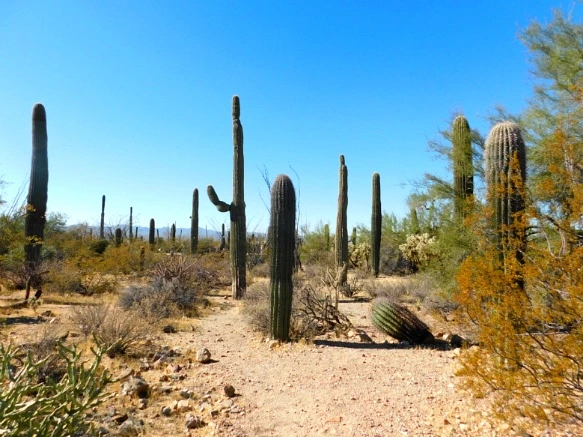 99E4C0335A2A12671912E9