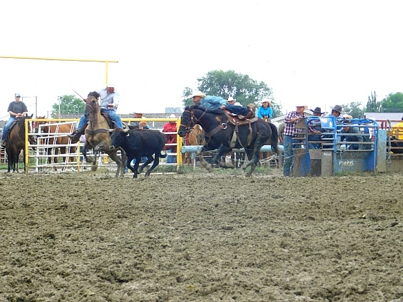 9944D2335B7F7DE1294B76