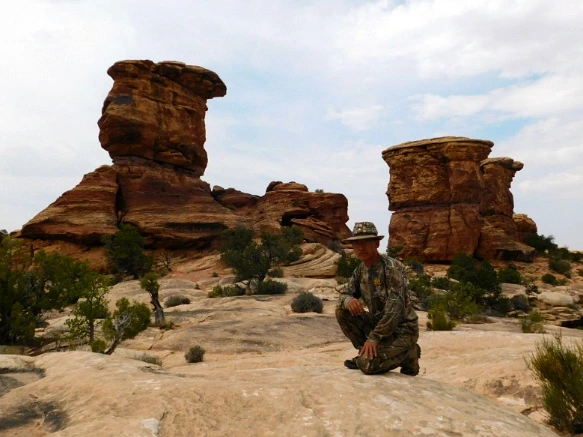 99E1213359B482B20441E8