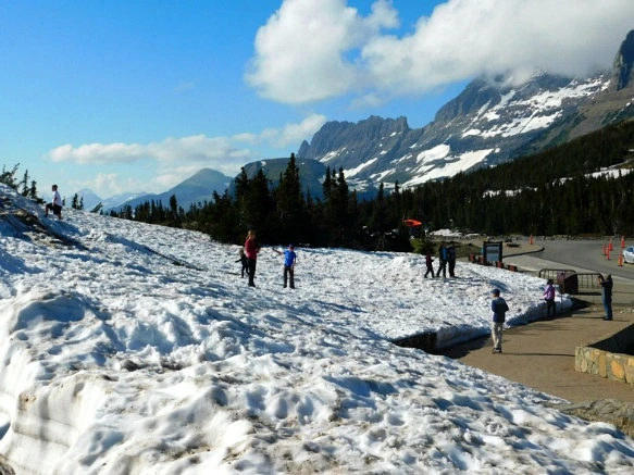 990C0D4E5B345765253CF6