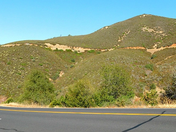 996A08365BD6701E2C9416