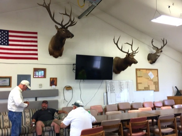 2626D338575F853D0271C3