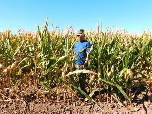 995465335A28AFA0105B54